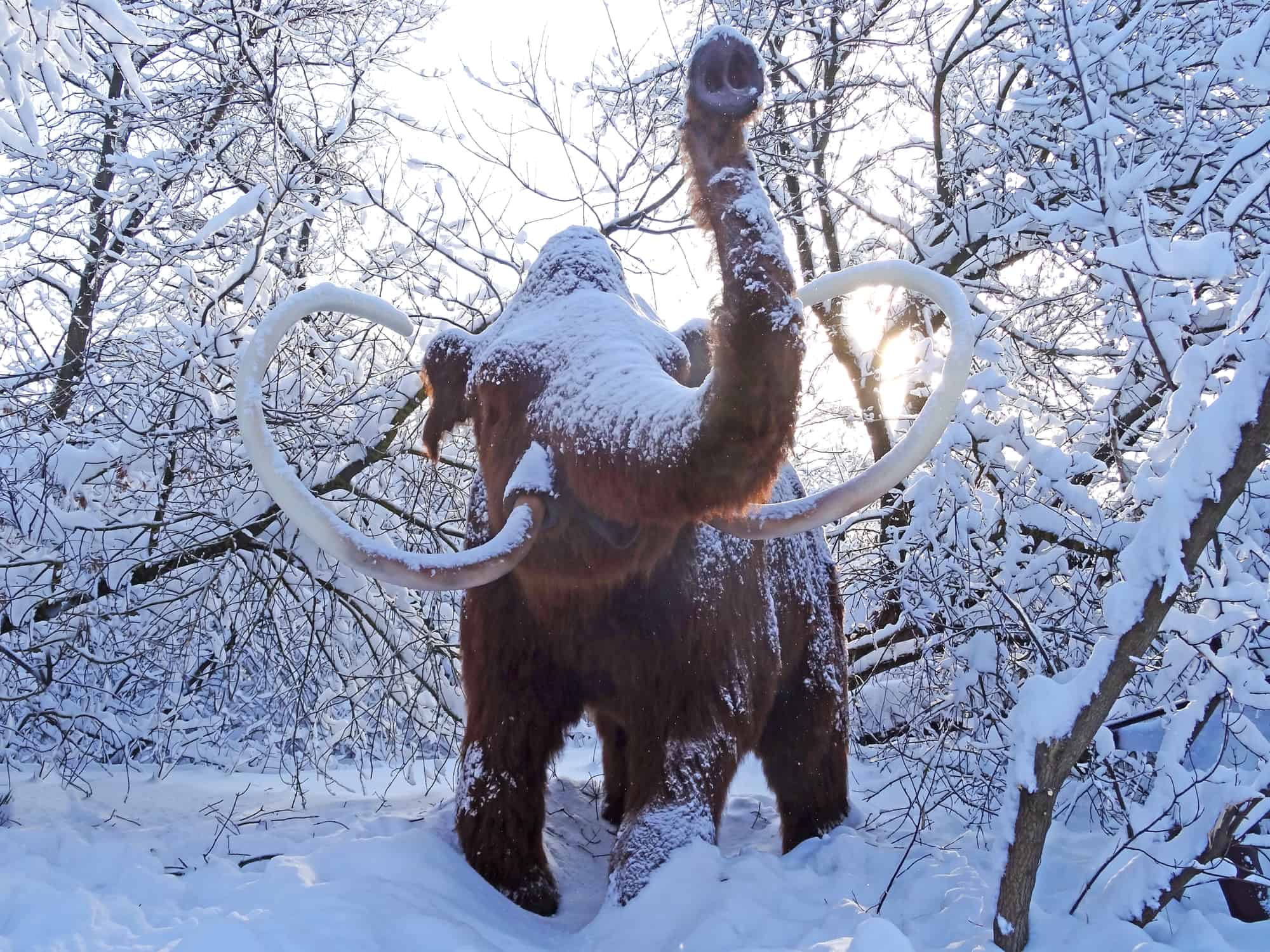 Sci-fi or Reality: Can Animals Be Brought Back From Extinction?