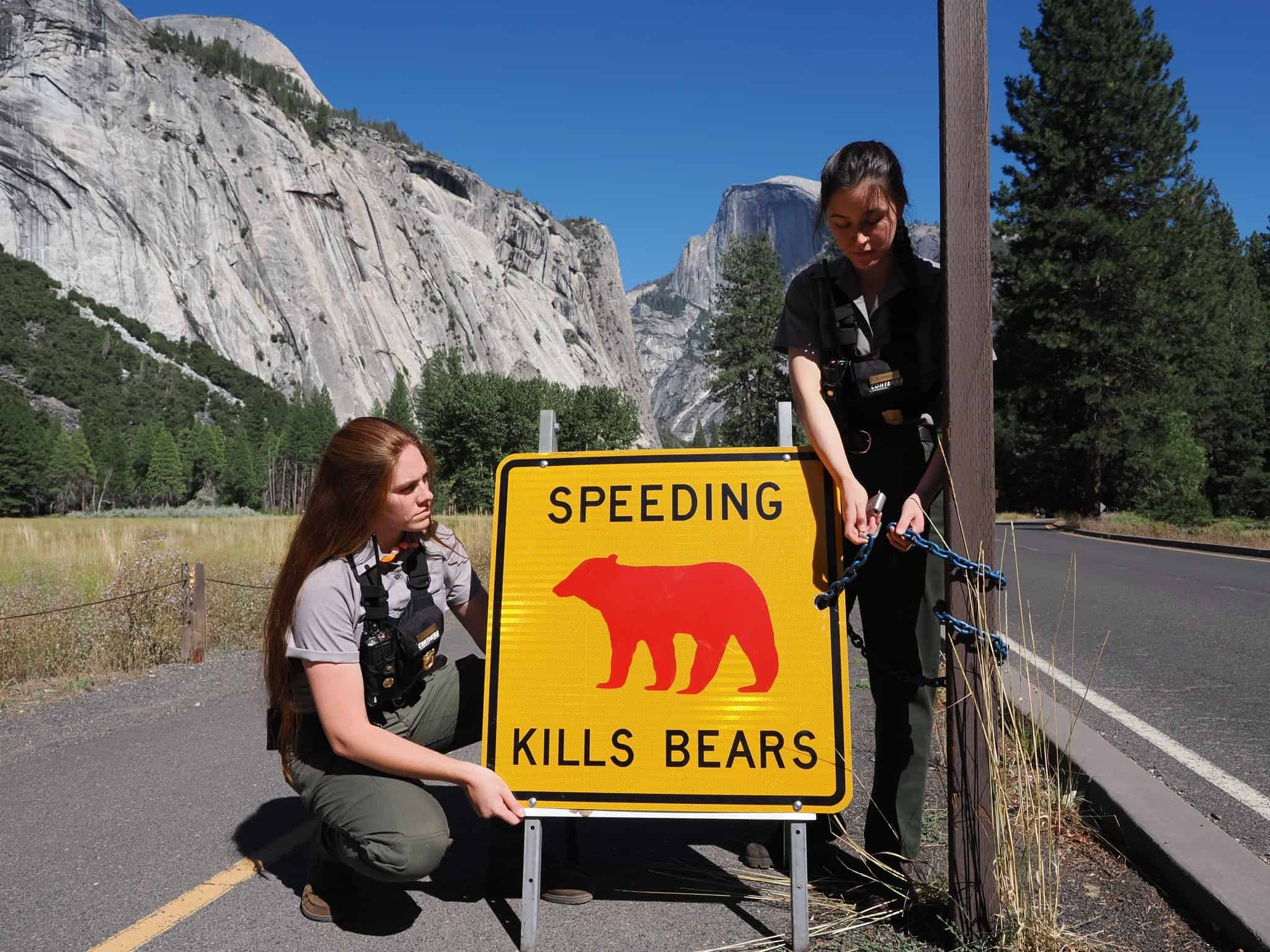 10 Everyday Actions You Can Take to Help Save Wildlife
