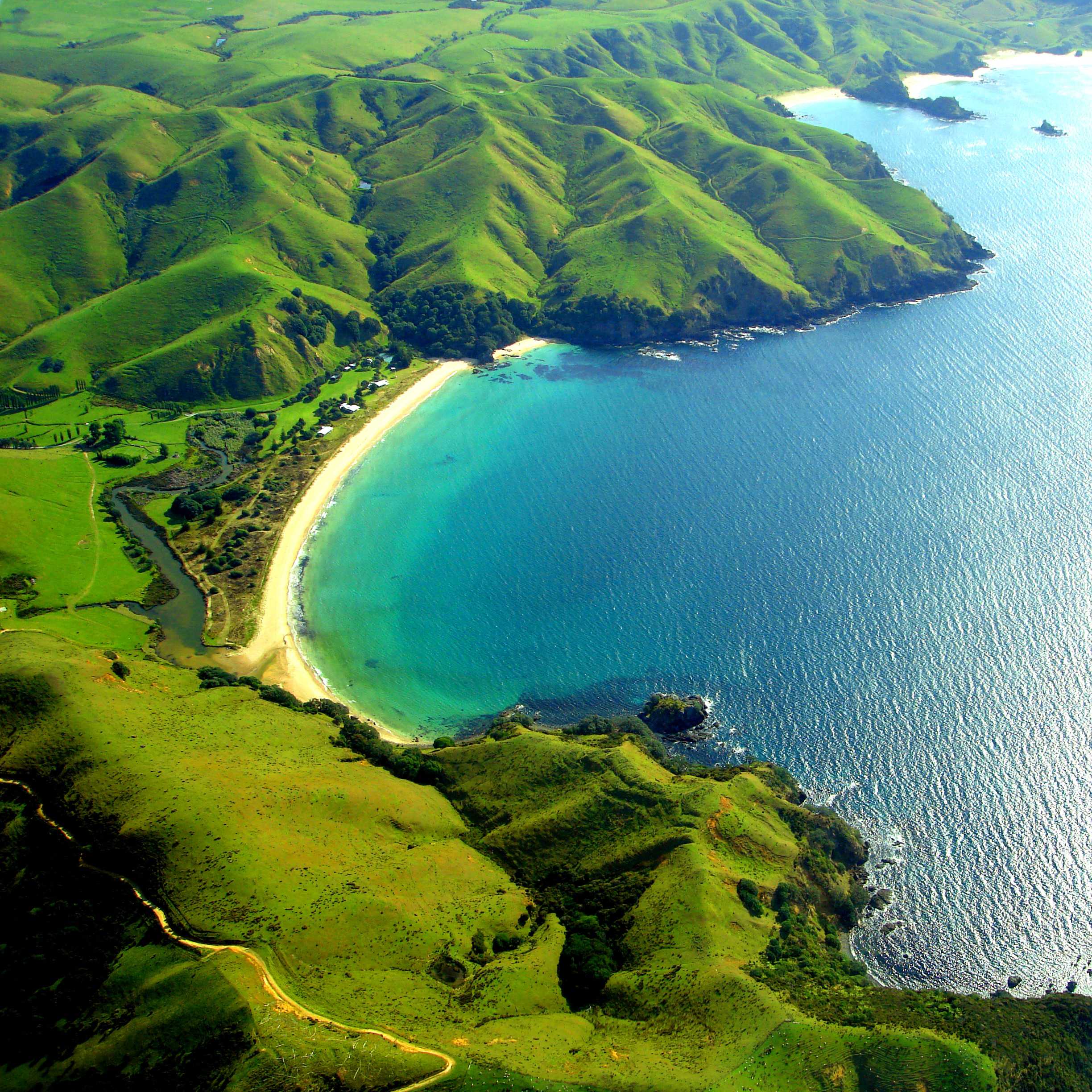 Why Are There No Snakes in New Zealand? The Curious Evolutionary Mystery of an Island Nation