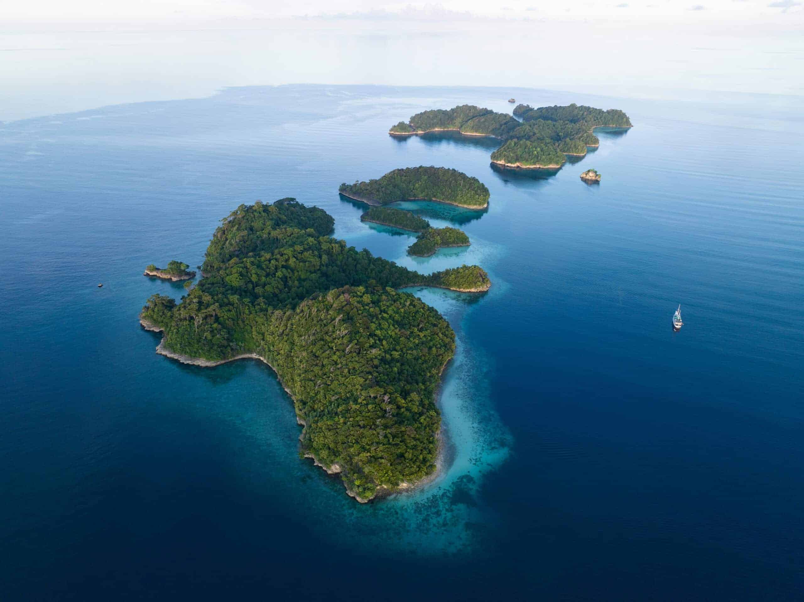 Tropical Species Moving to Warmer Waters Amidst Climate Change
