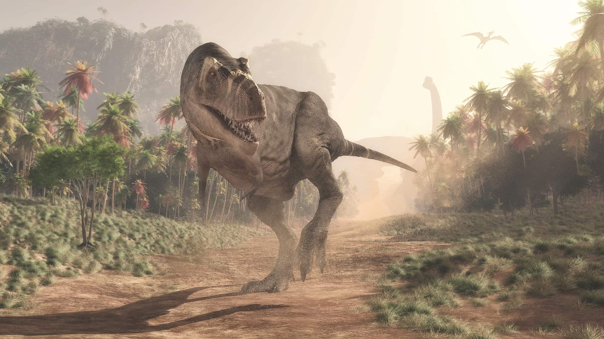 The Fossils of Tyrannosaurus Rex What We Have Learned About the King of Dinosaurs