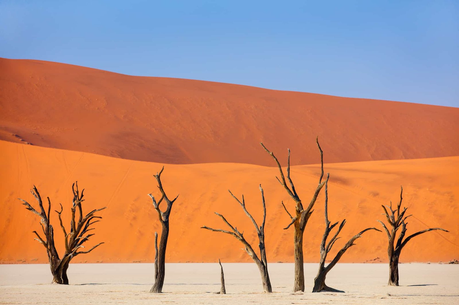 Namibia & Its Animals Facing Another Drought