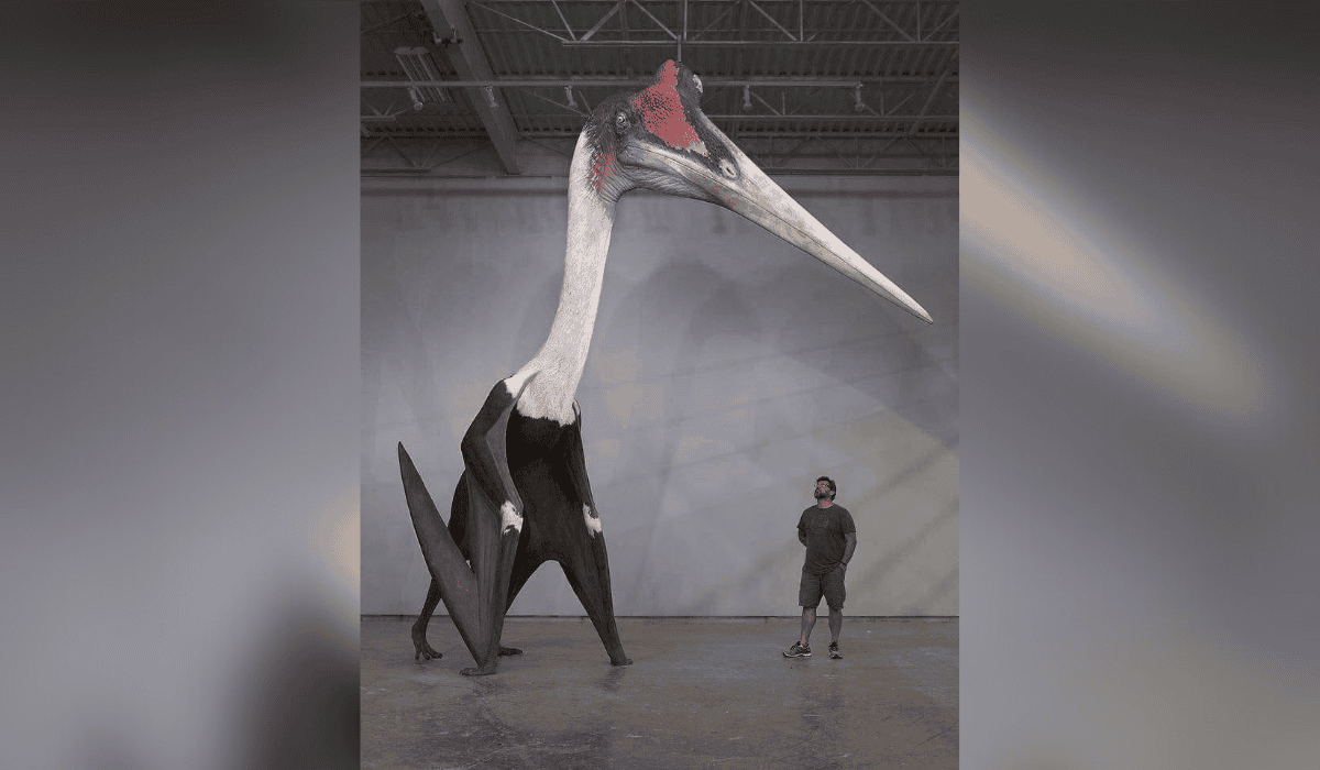 The Enormous Pterosaur That Dominated The Skies Of Texas