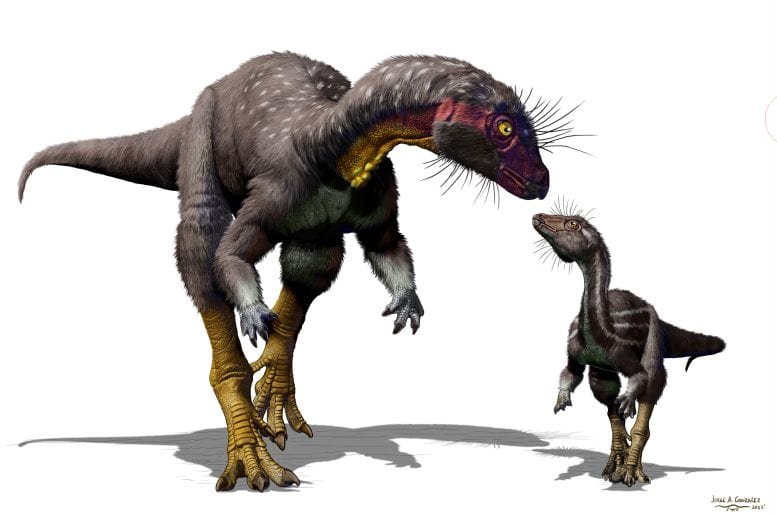 Underground Dinosaur Species Discovered in Utah