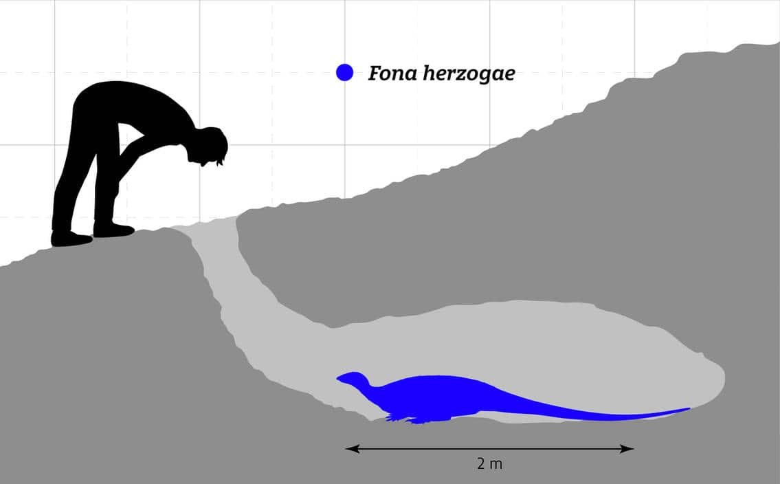 Underground Dinosaur Species Discovered in Utah