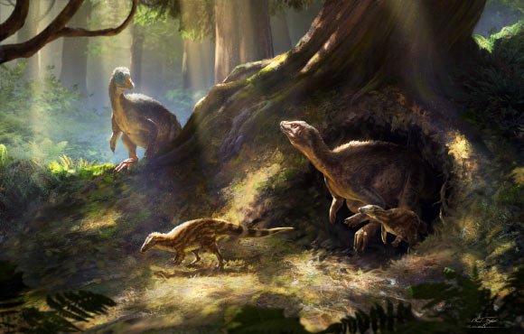 Thescelosaurus neglectus