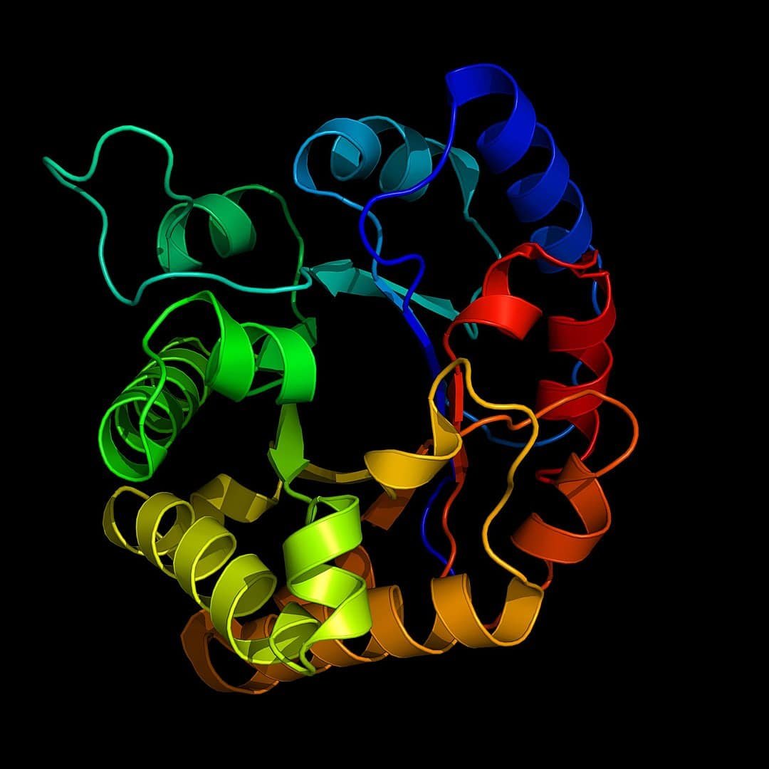 enzyme