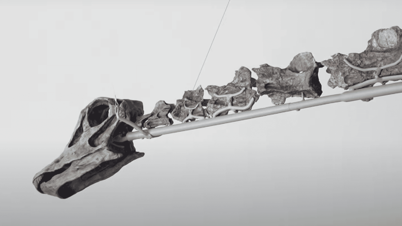 World’s First Green Boned Dinosaur Unveiled at The Natural History Museum in Los Angeles