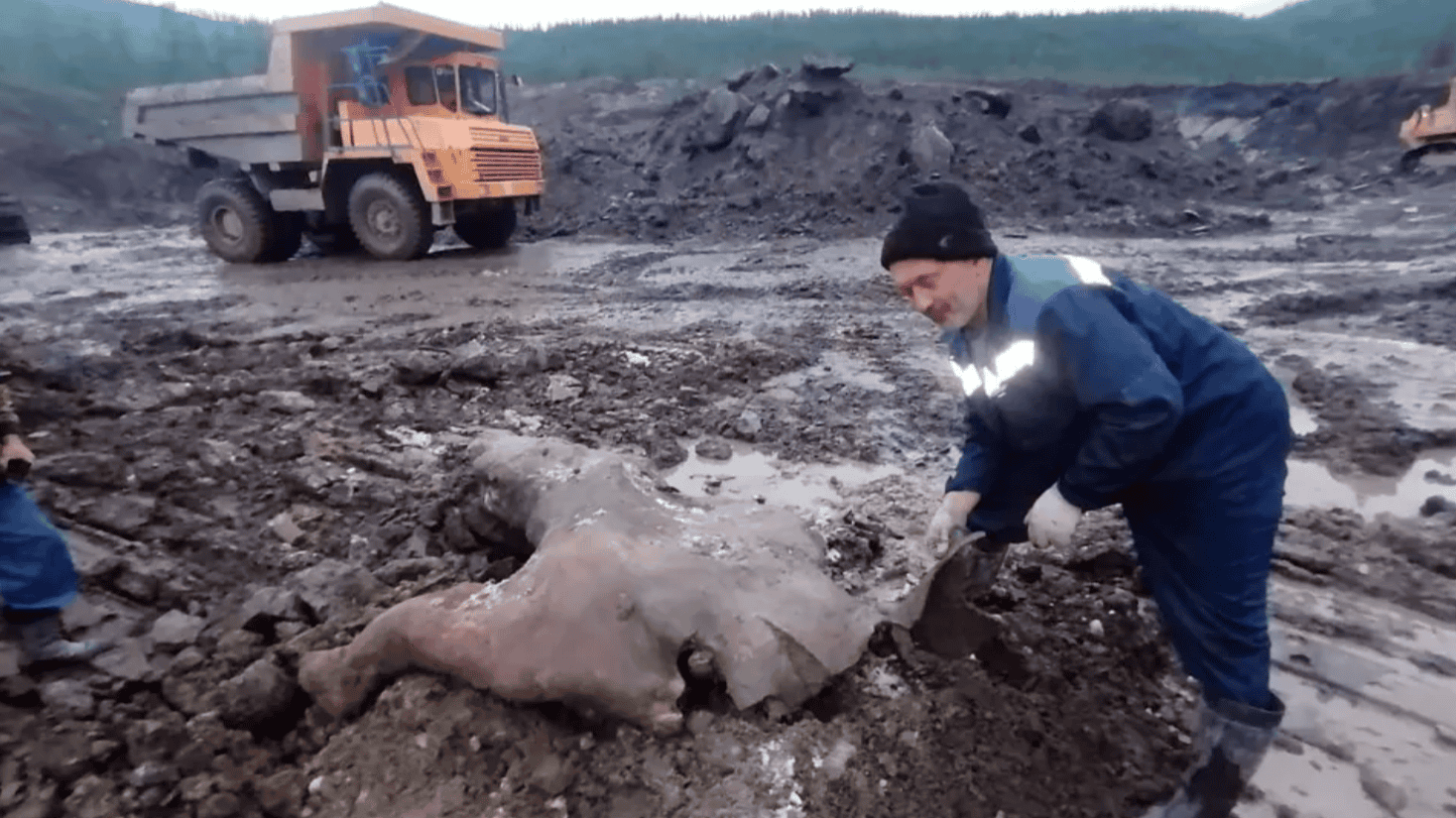 6 Times Citizen Scientists Helped Discover Something Incredible