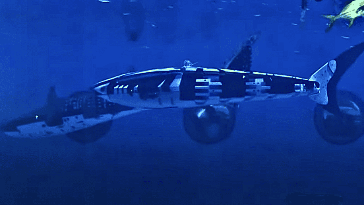 Automating the Study of Animal Behavior with Robots and Sensors