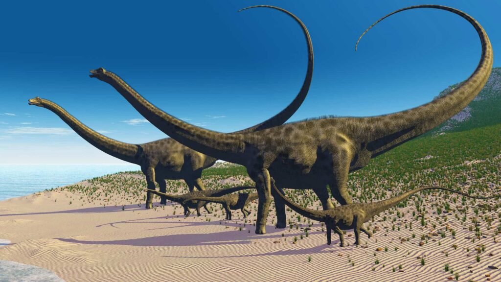 A diplodocus dinosaur herd from the Middle Jurassic period.