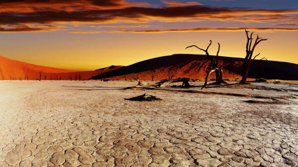Parched land, Namibian Desert
