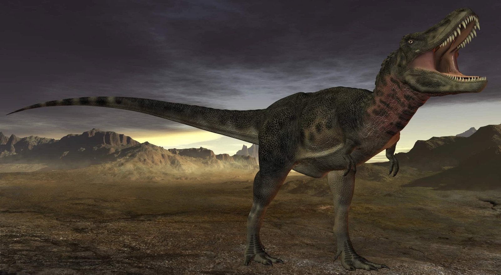 Tarbosaurus