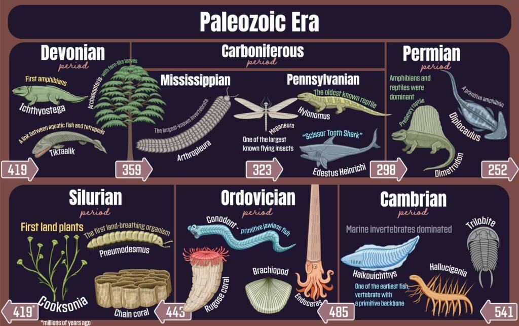 Paleozoic Era: Geological timeline spanning from the Cambrian to Permian period