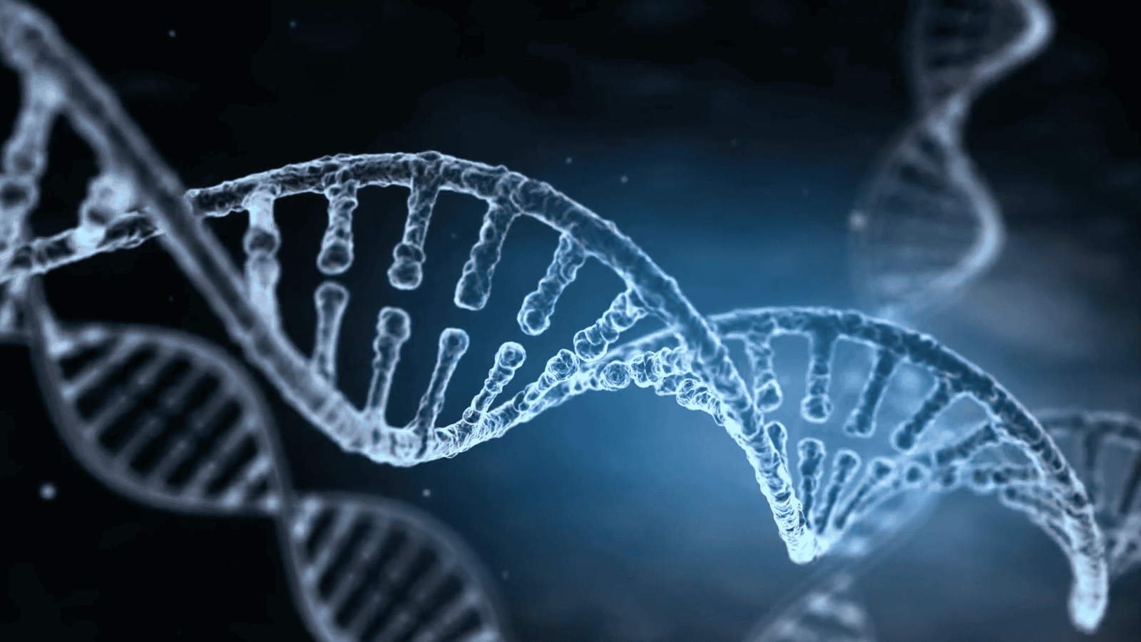 How DNA Barcoding Helps Identify and Protect Wildlife