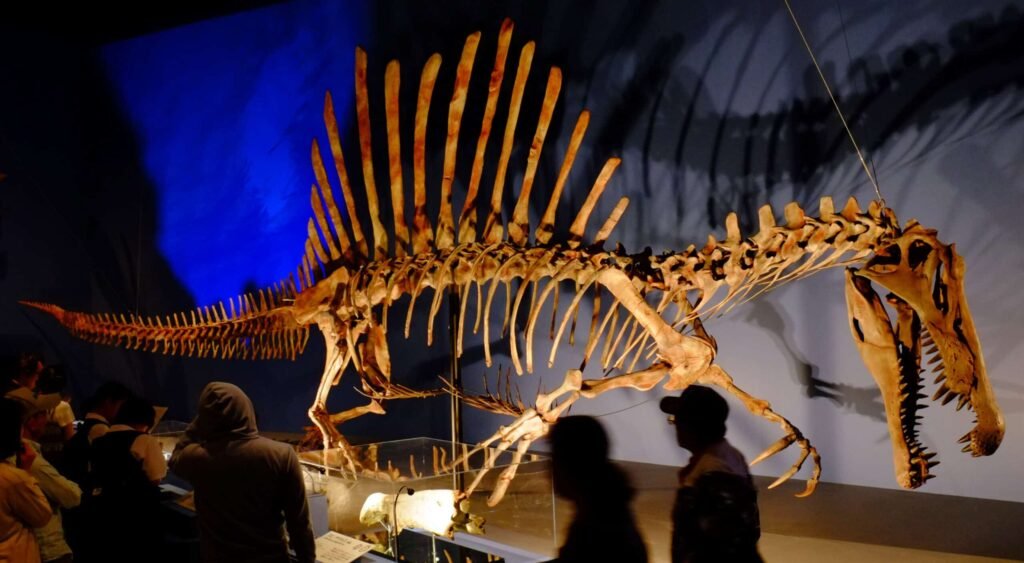 Spinosaurus in Japan Expo.