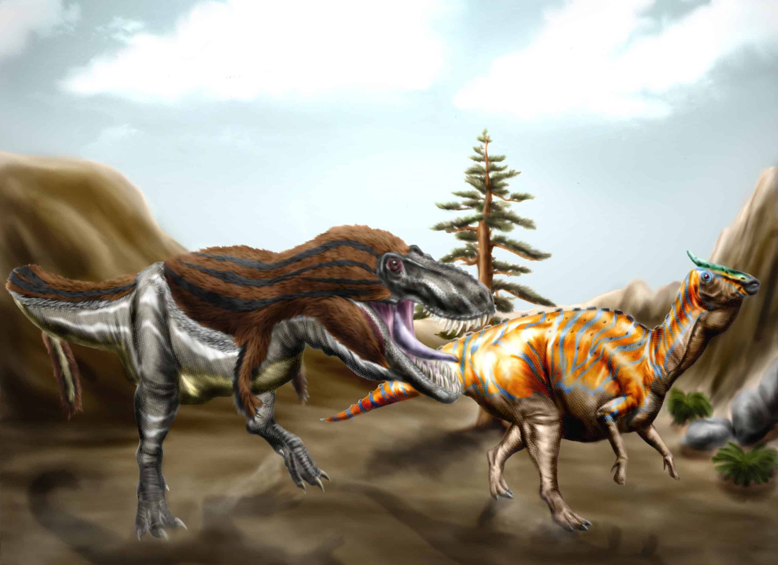 The tyrannosaurid Tarbosaurus baatar pursuing the hadrosaurine Saurolophus angustirostris
