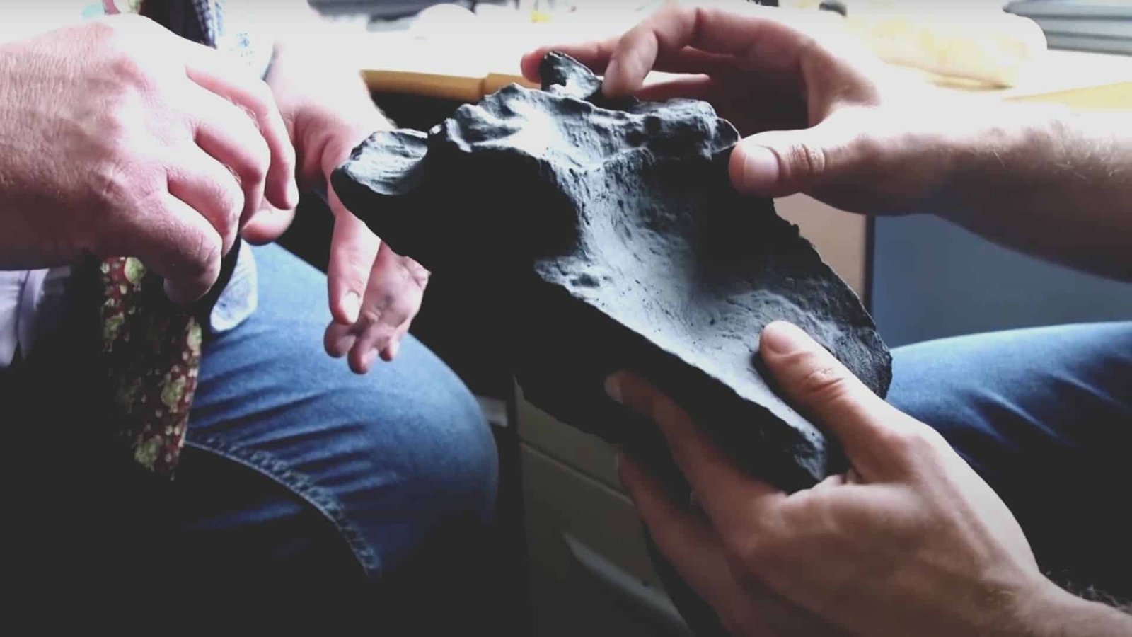 largest dinosaur found