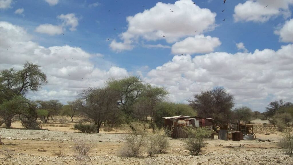 Dry conditions in Namibia