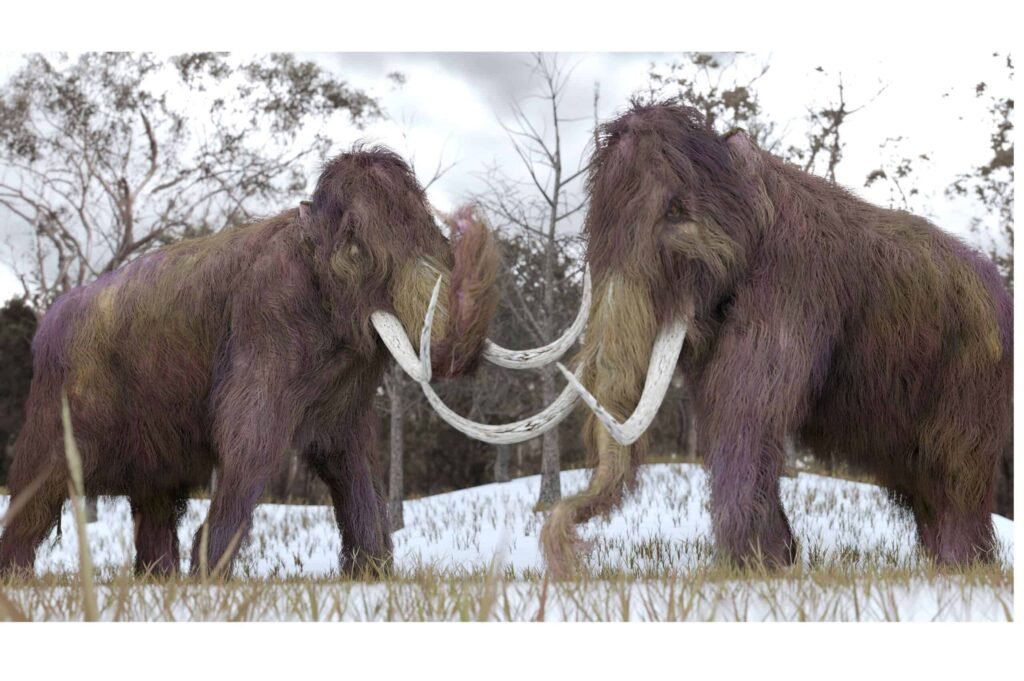mastodon