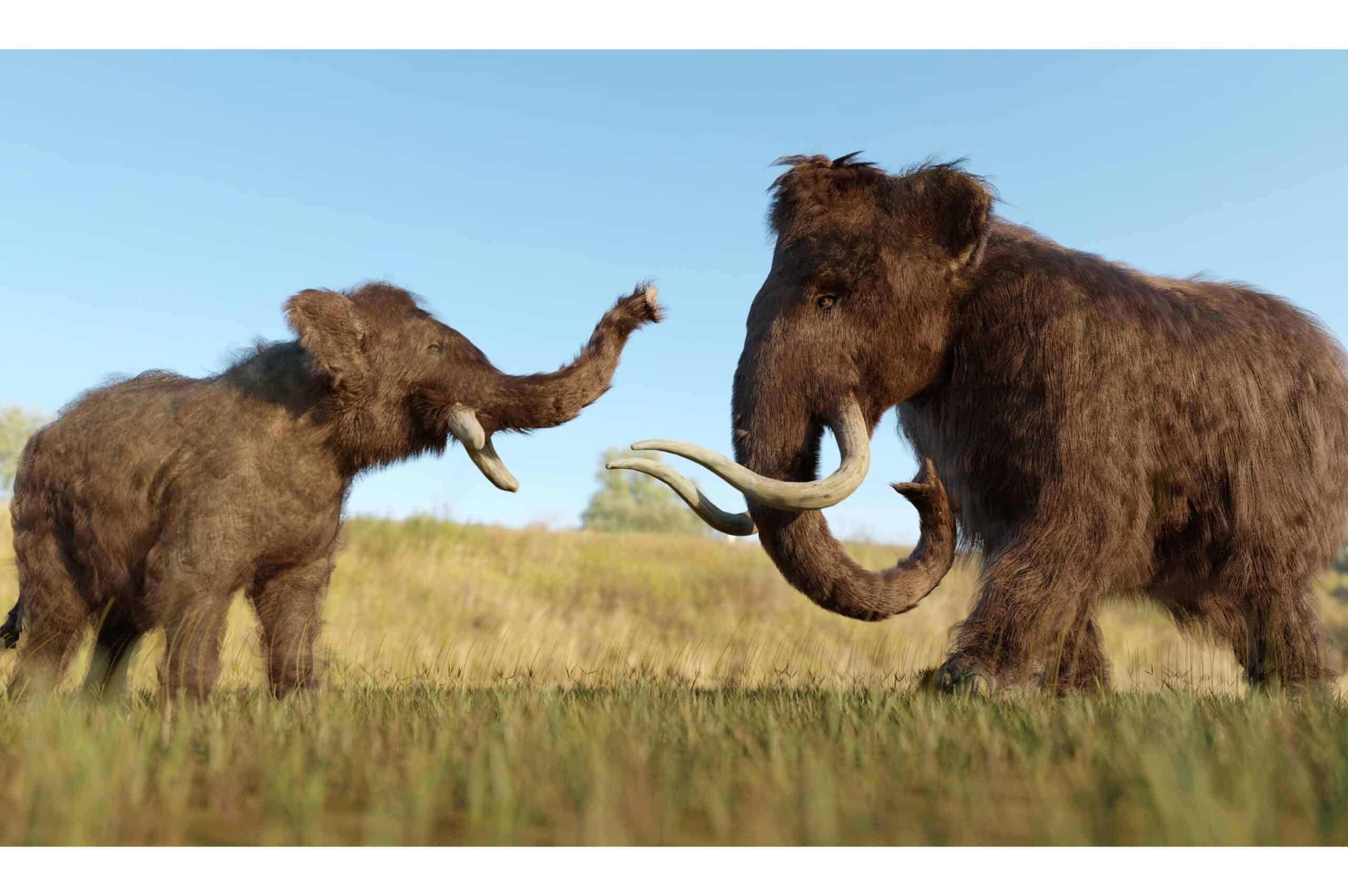 Animal Parents The Most Amazing Ways Animals Care for Their Young