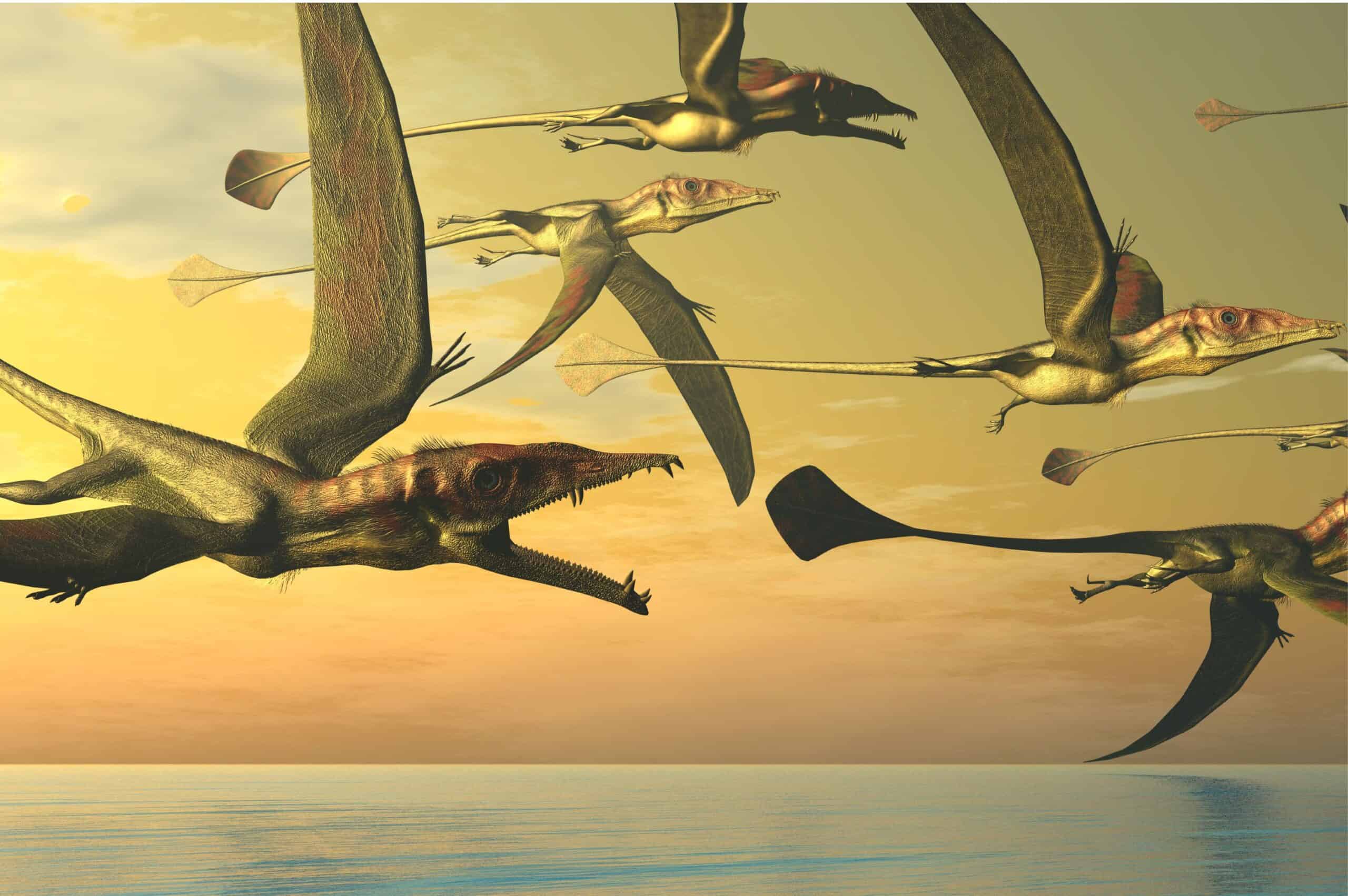 167 Million-Year-Old Pterosaur Fossil Discovered in Oxfordshire