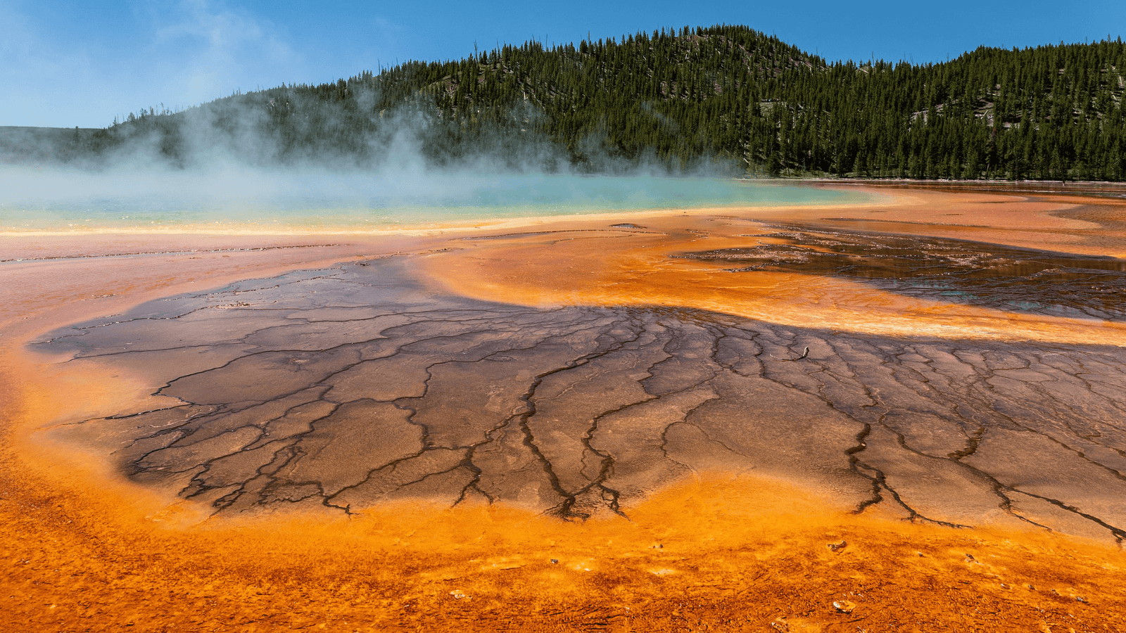 New Methane-Burping Microbes Discovered In Yellowstone Springs