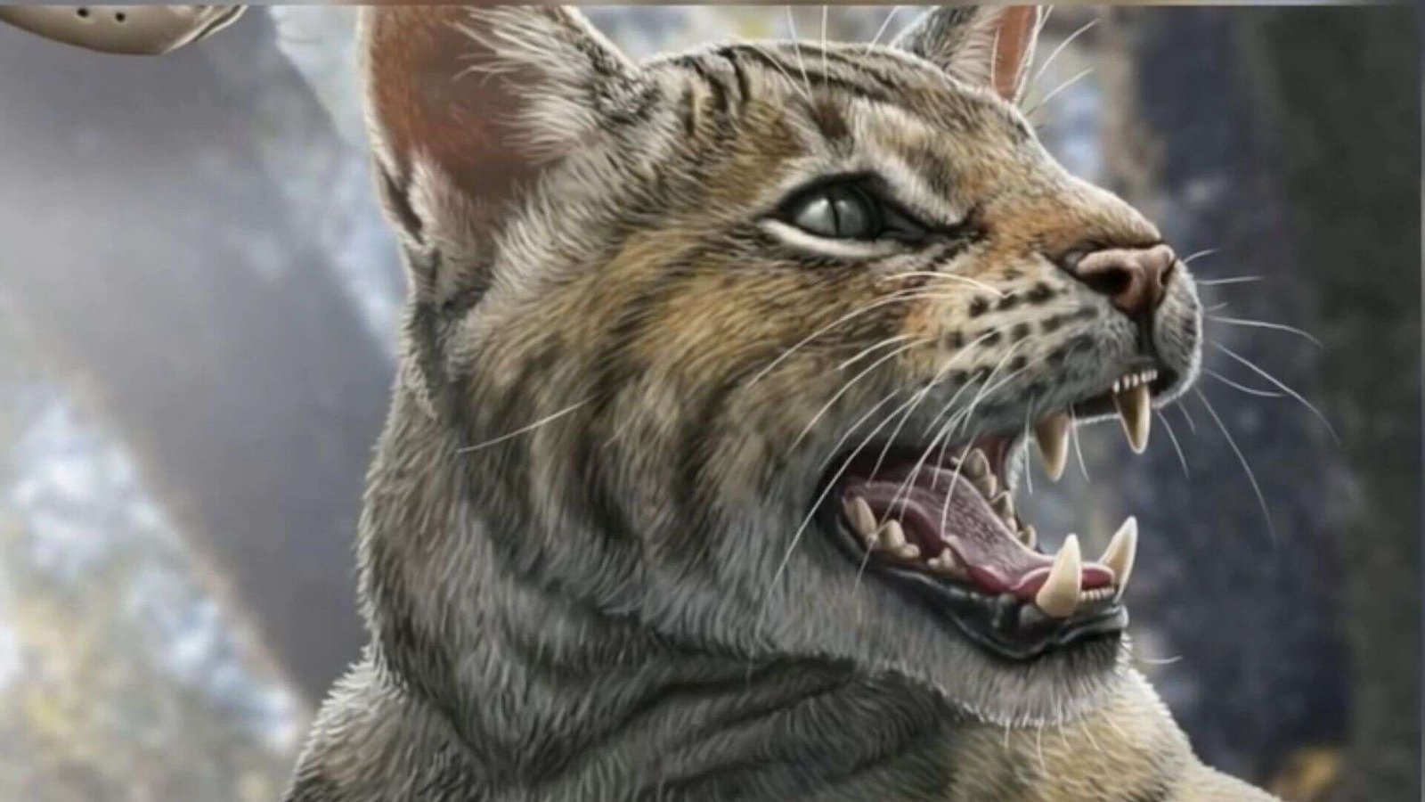 15-Million-Year-Old Strong-Jawed Cat Discovered With Only a Jaw Bone