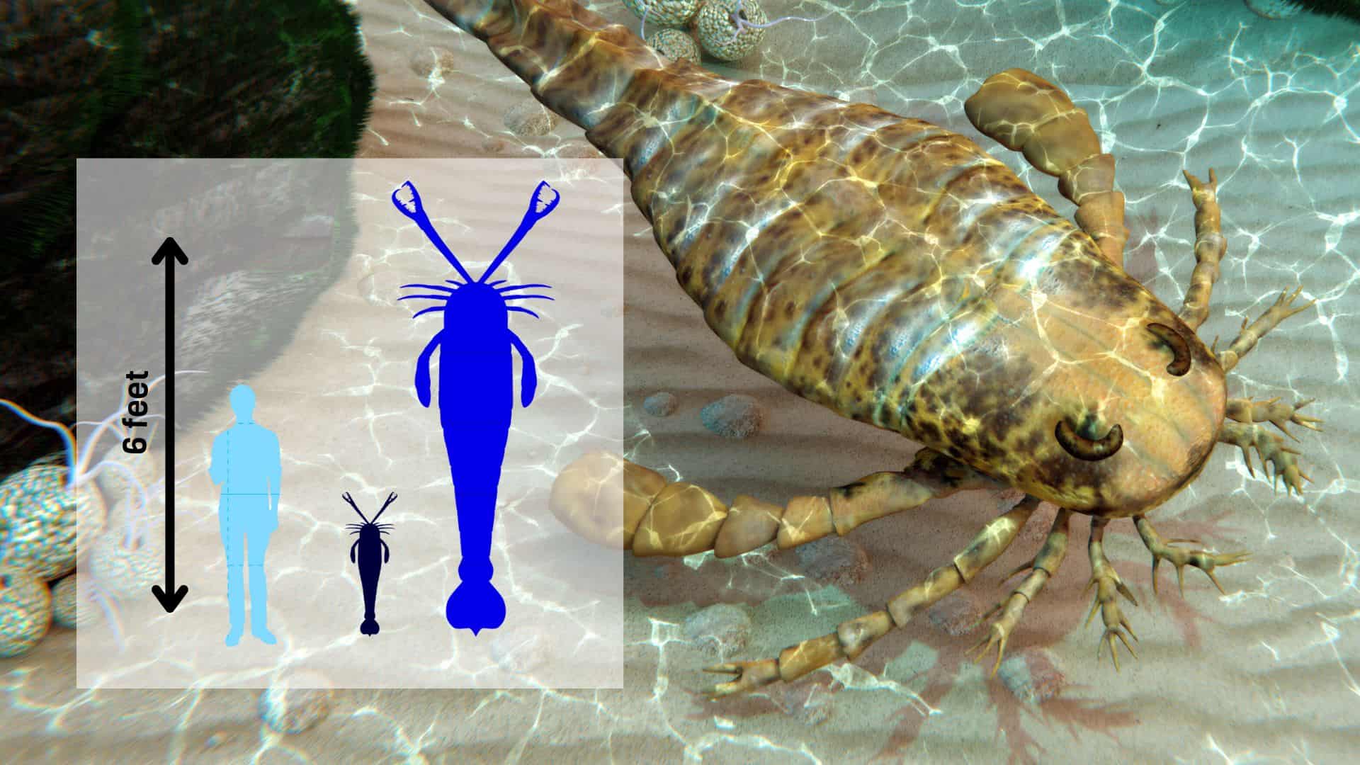 Scorpions Larger Than Basketball Players Used to Reign the Oceans Some 400 Million Years Ago