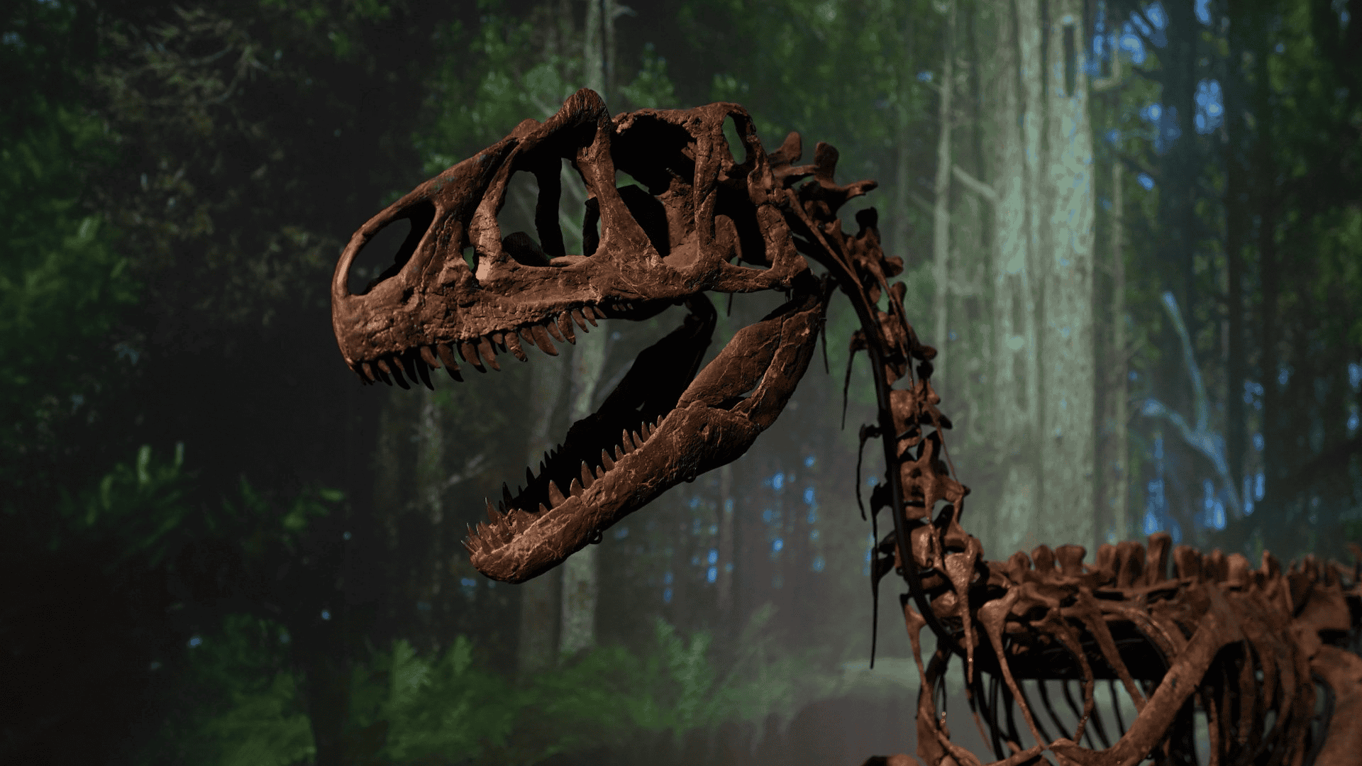 10 Places Where You Can See Real Dinosaur Fossils Today