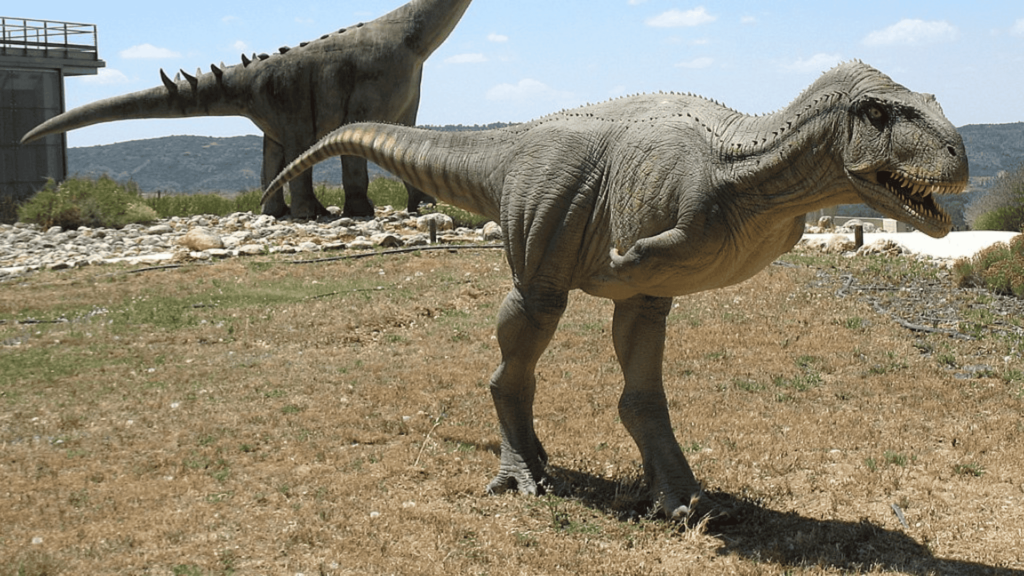 Paleontological Museum.