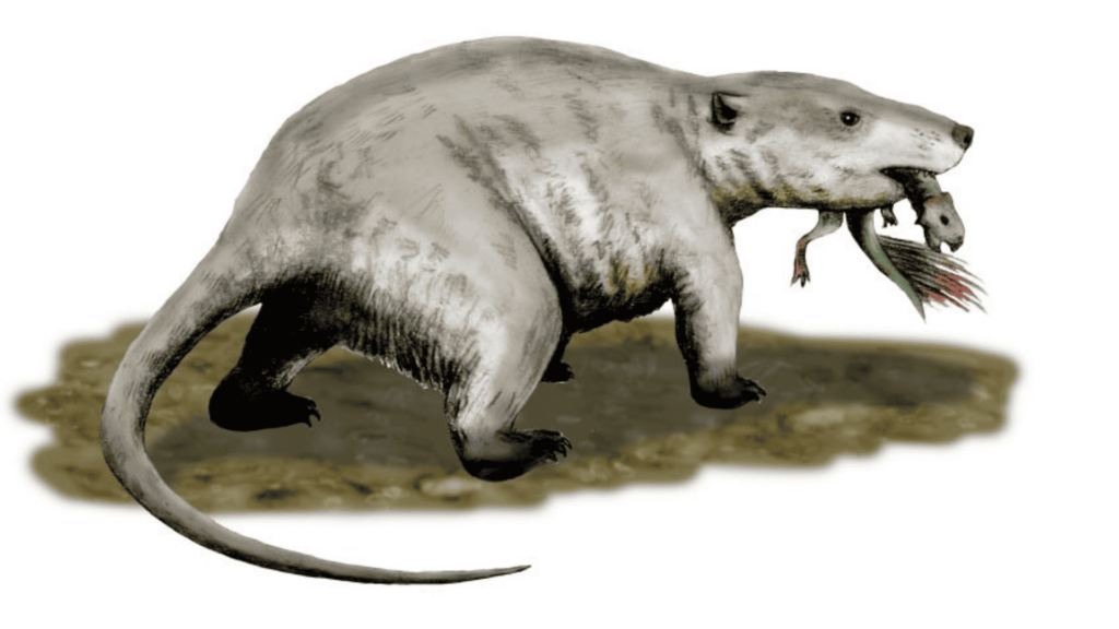 Repenomamus mammal