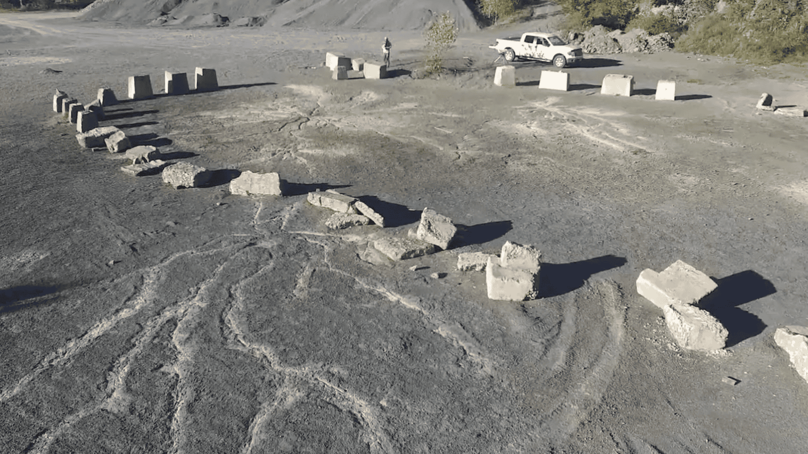 390 Million-Year-Old Fossilized Forest Unearthed In England’s Backyard – Earth’s Oldest Ever!