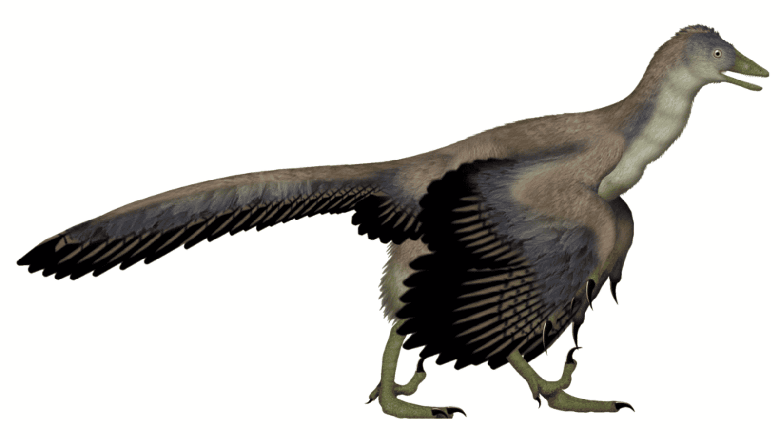 The Strangest Prehistoric Creatures That Actually Existed