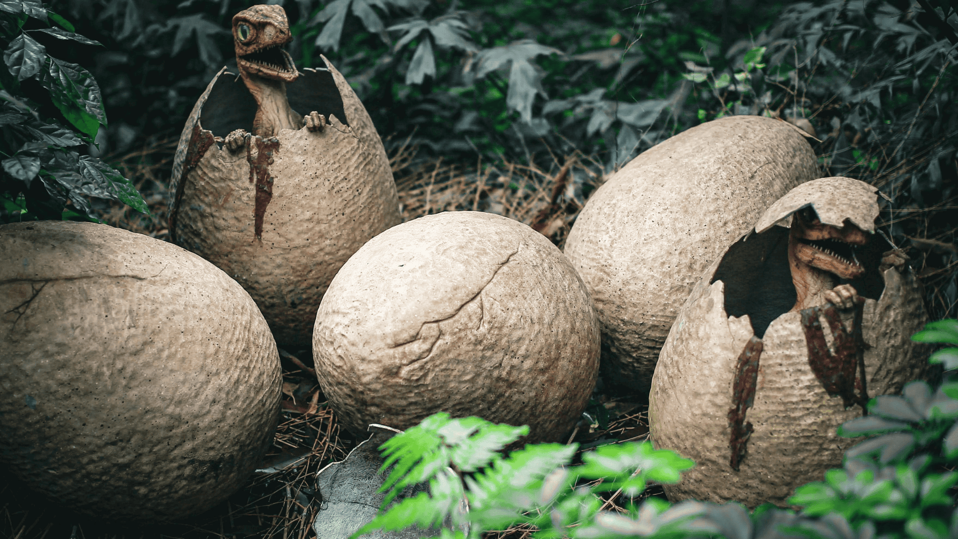 East China’s Crystal Dinosaur Eggs from New Species Spark Scientific Curiosity