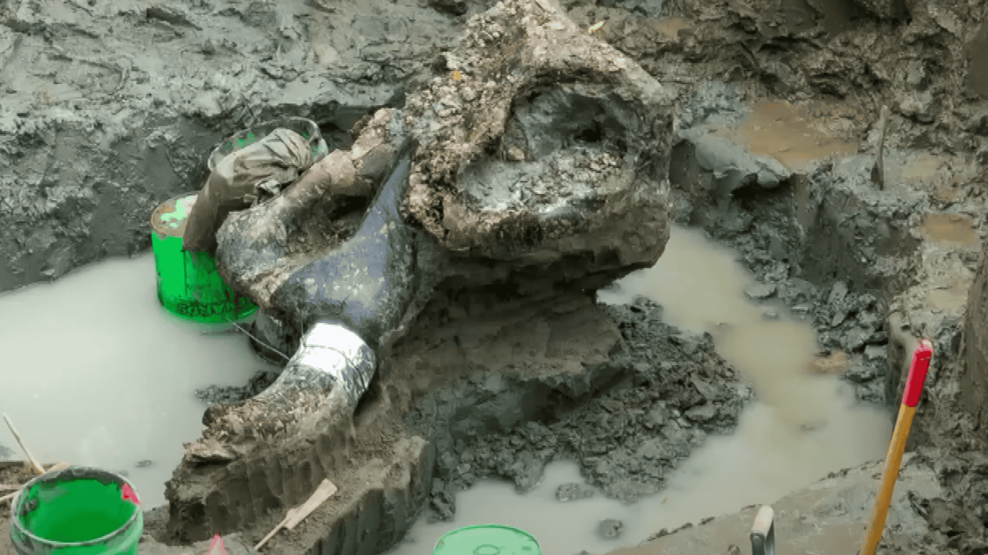 13,600-Year-Old Mastodon Fossil Was Possibly Slain By Iowa’s First Human Hunters