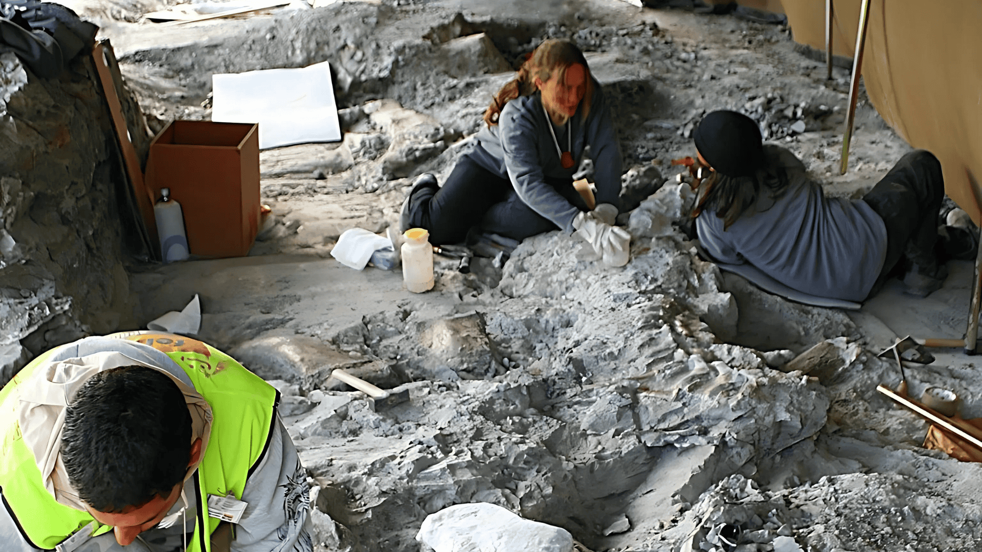 8 Dinosaur Discoveries That Changed What We Knew About Prehistory
