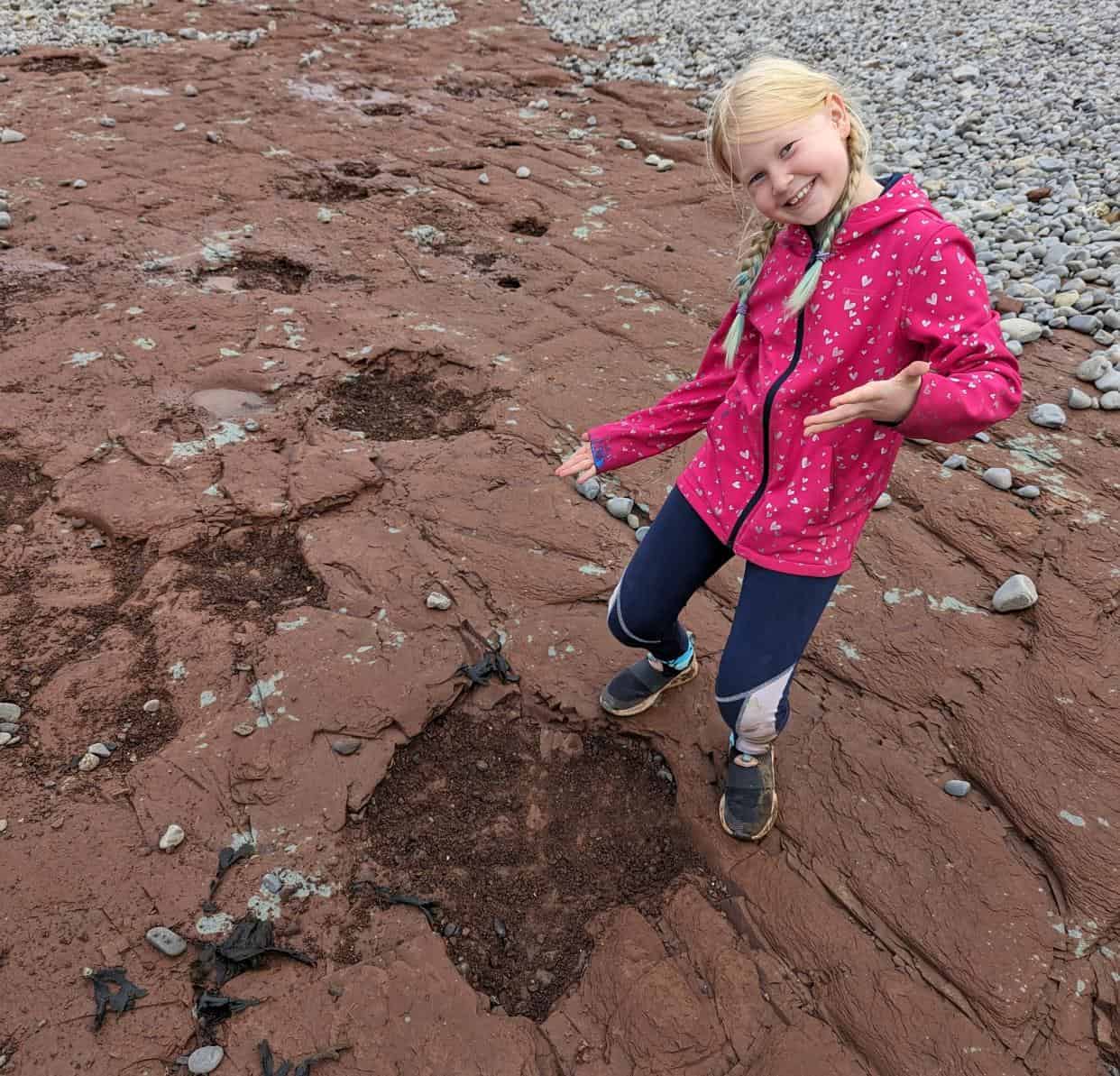 10-Year-Old Discovers 220-Million-Year-Old Dinosaur Tracks on Welsh Beach