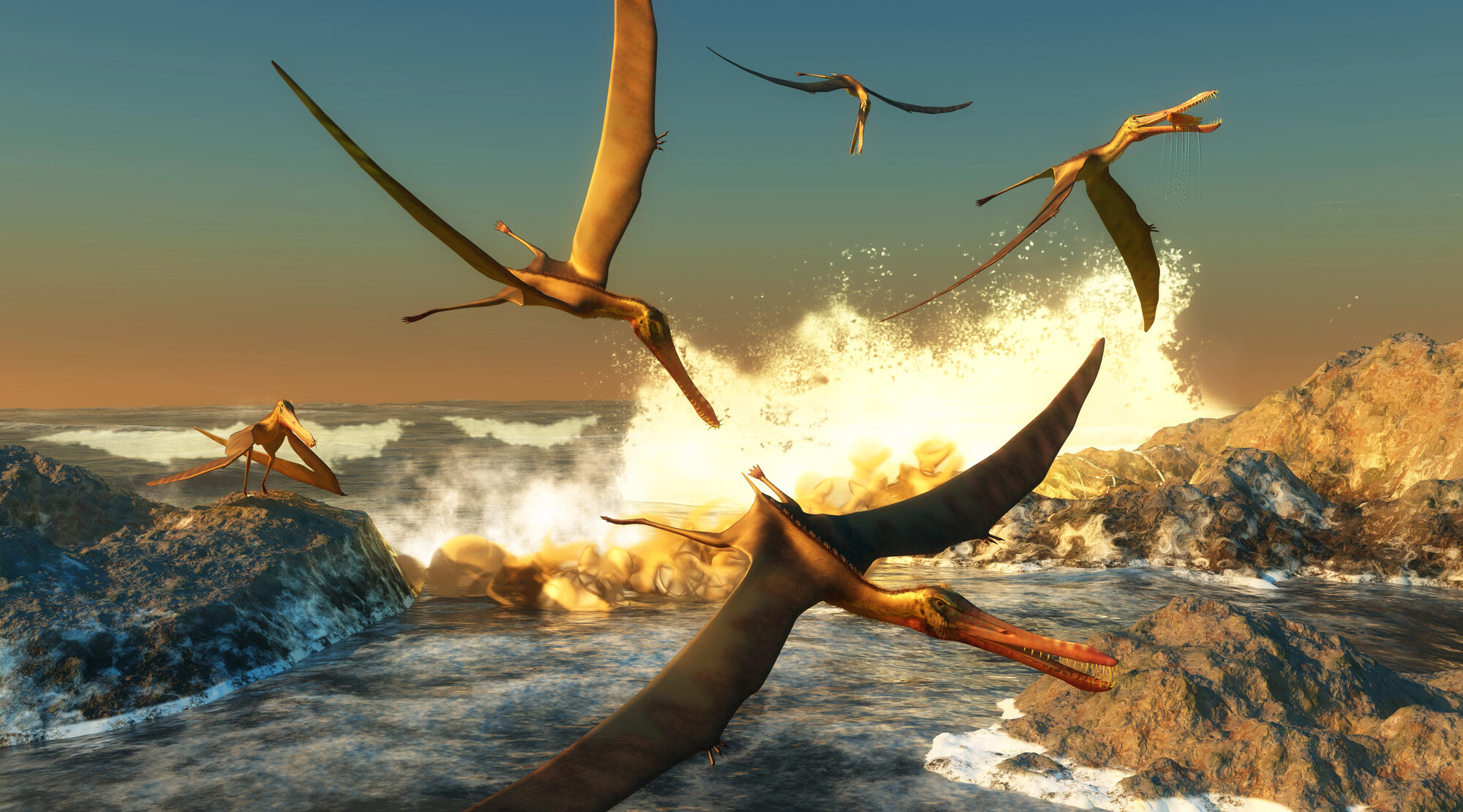 Fossil Trove In Italy Rewrites Ancient Mediterranean History