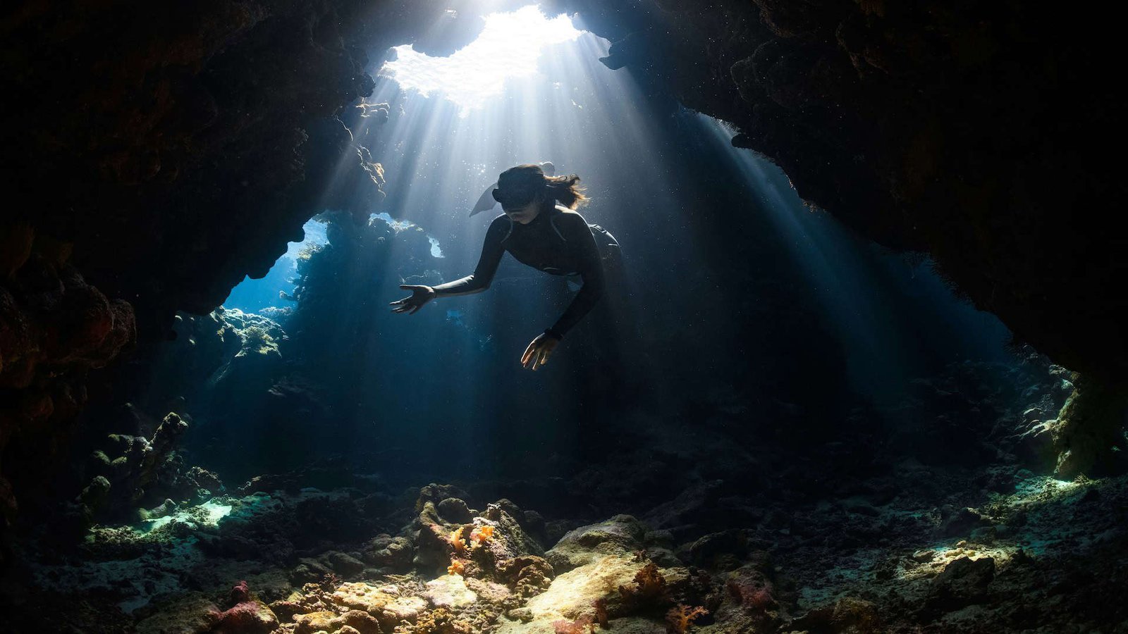 A diver explores the deep.