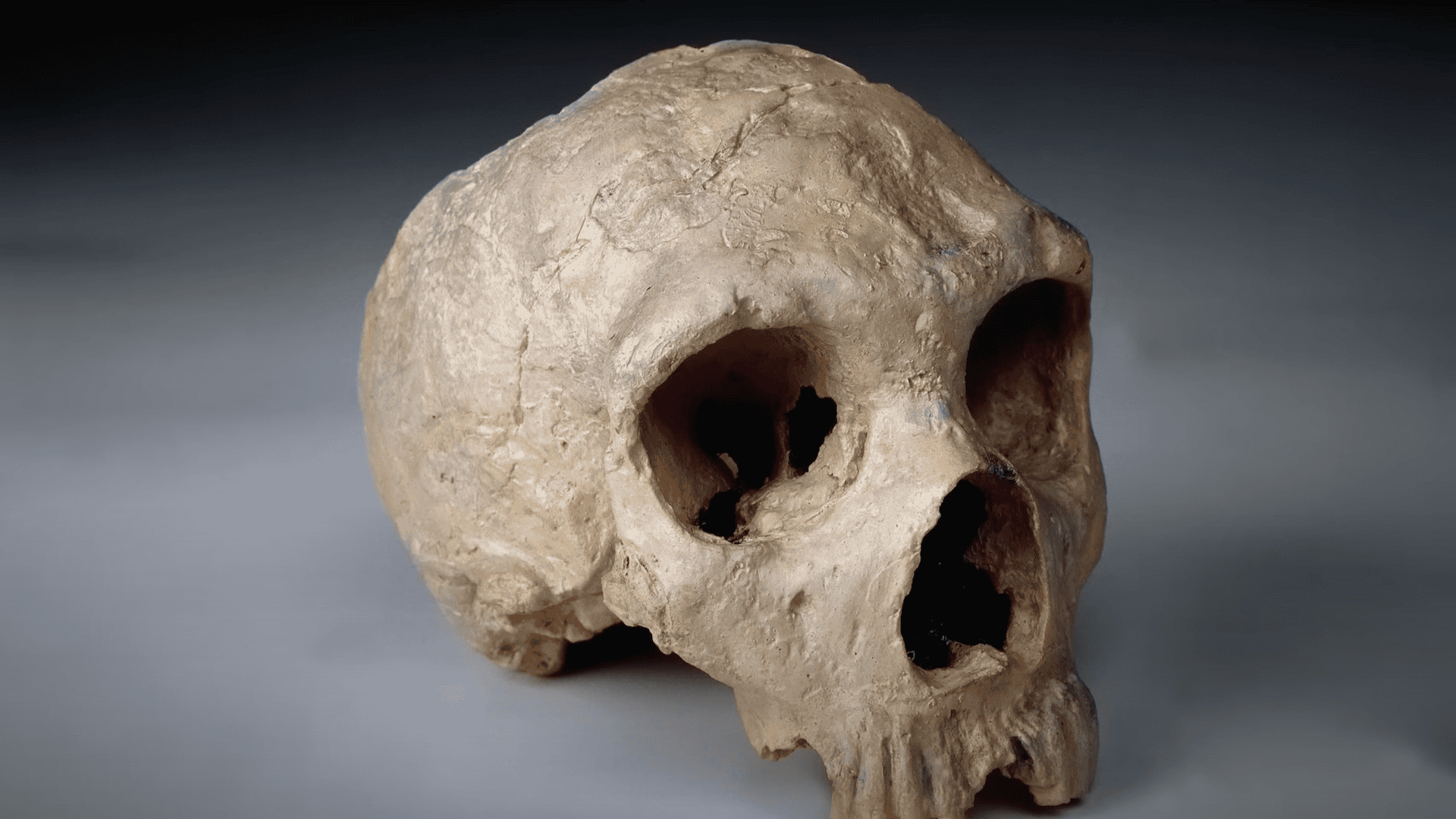 Neanderthal Discovery In France Sheds Light On Their Extinction