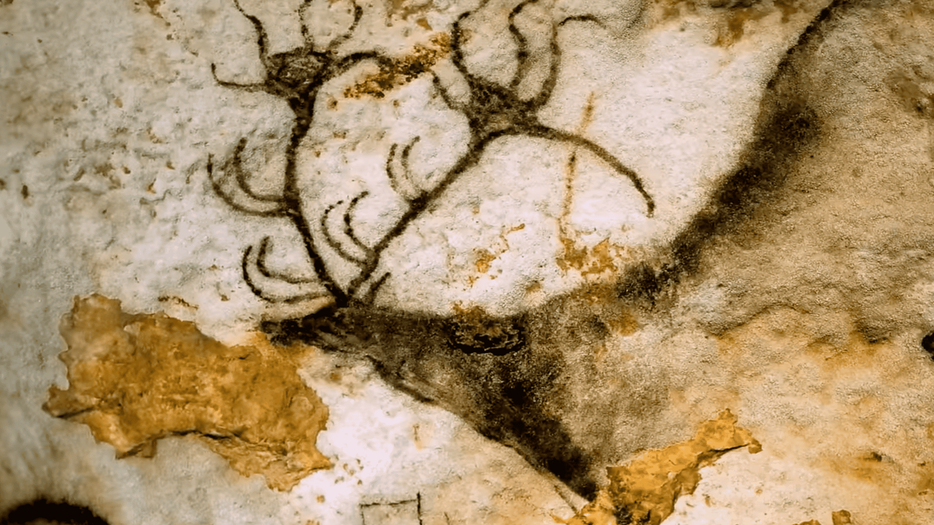 Cave Painting of Ancient Creature Discovered in South Africa