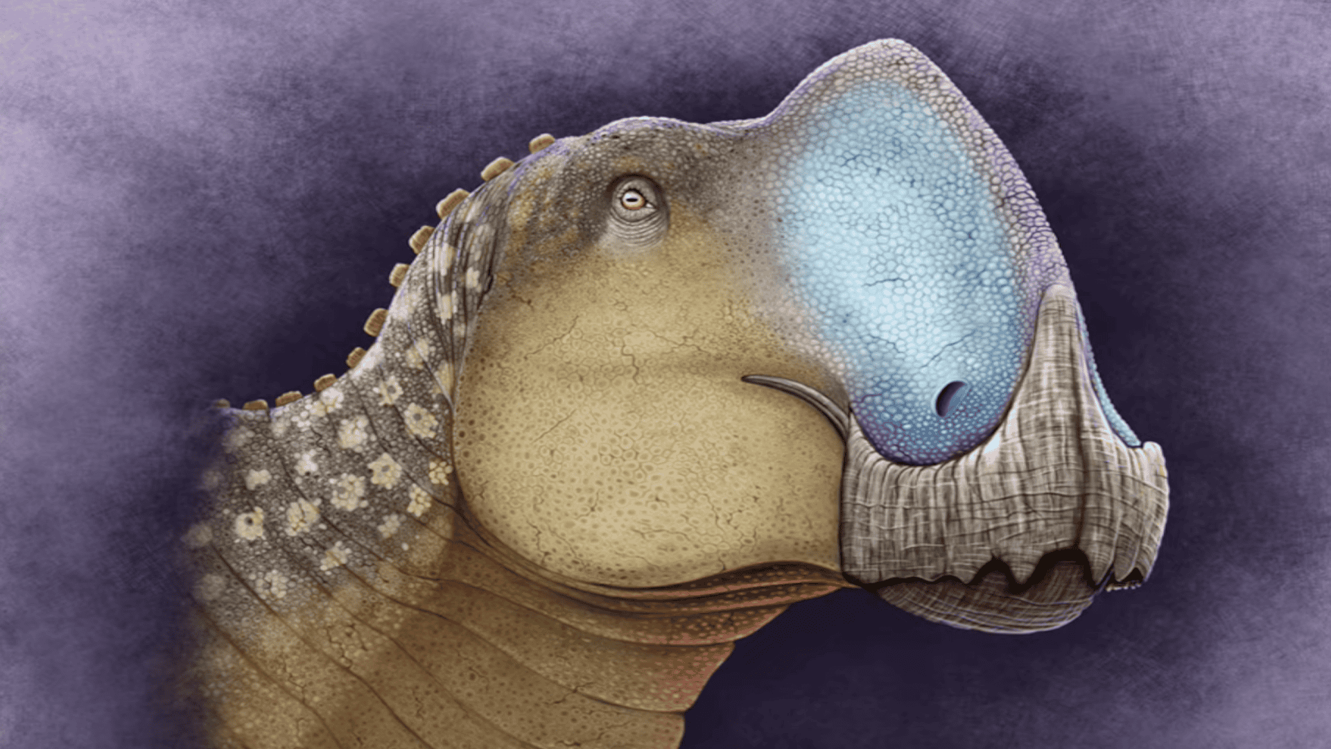 Bizarre Duck-Billed Dinosaur Discovered In Mexico