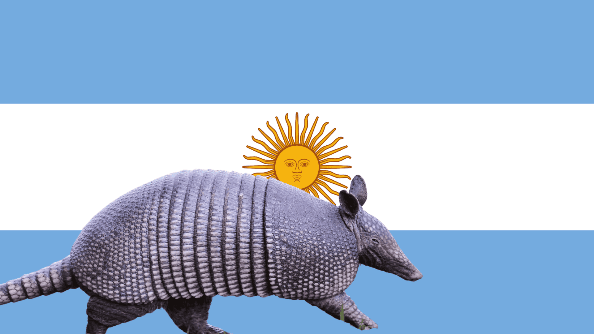 Humans in Argentina 20,000 Years Ago Survived By Hunting Giant Armadillos Study Reveals