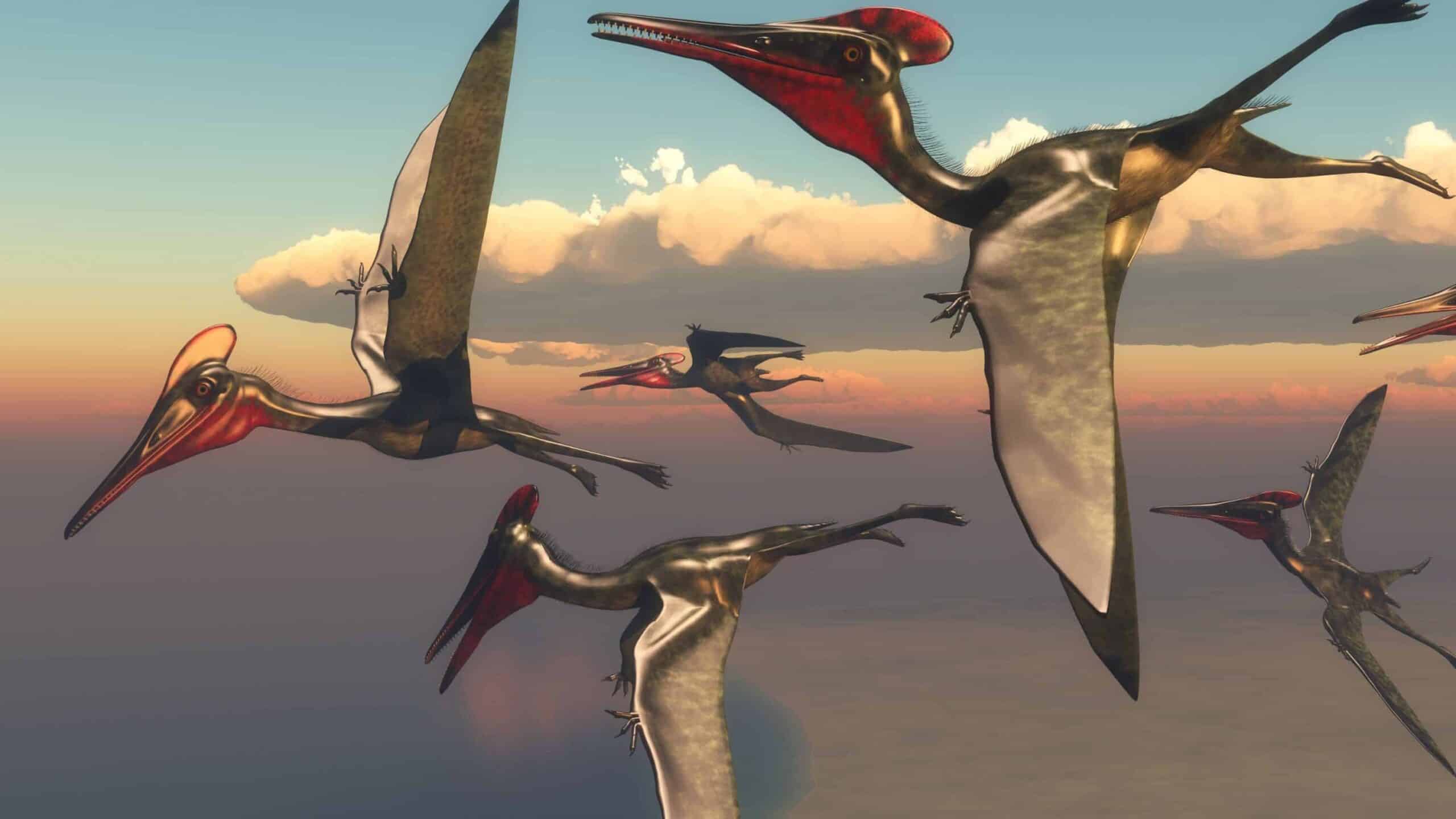 69 Million-Year-Old Pterosaur Discovery in Afro-Arabia Redefines Flight Evolution