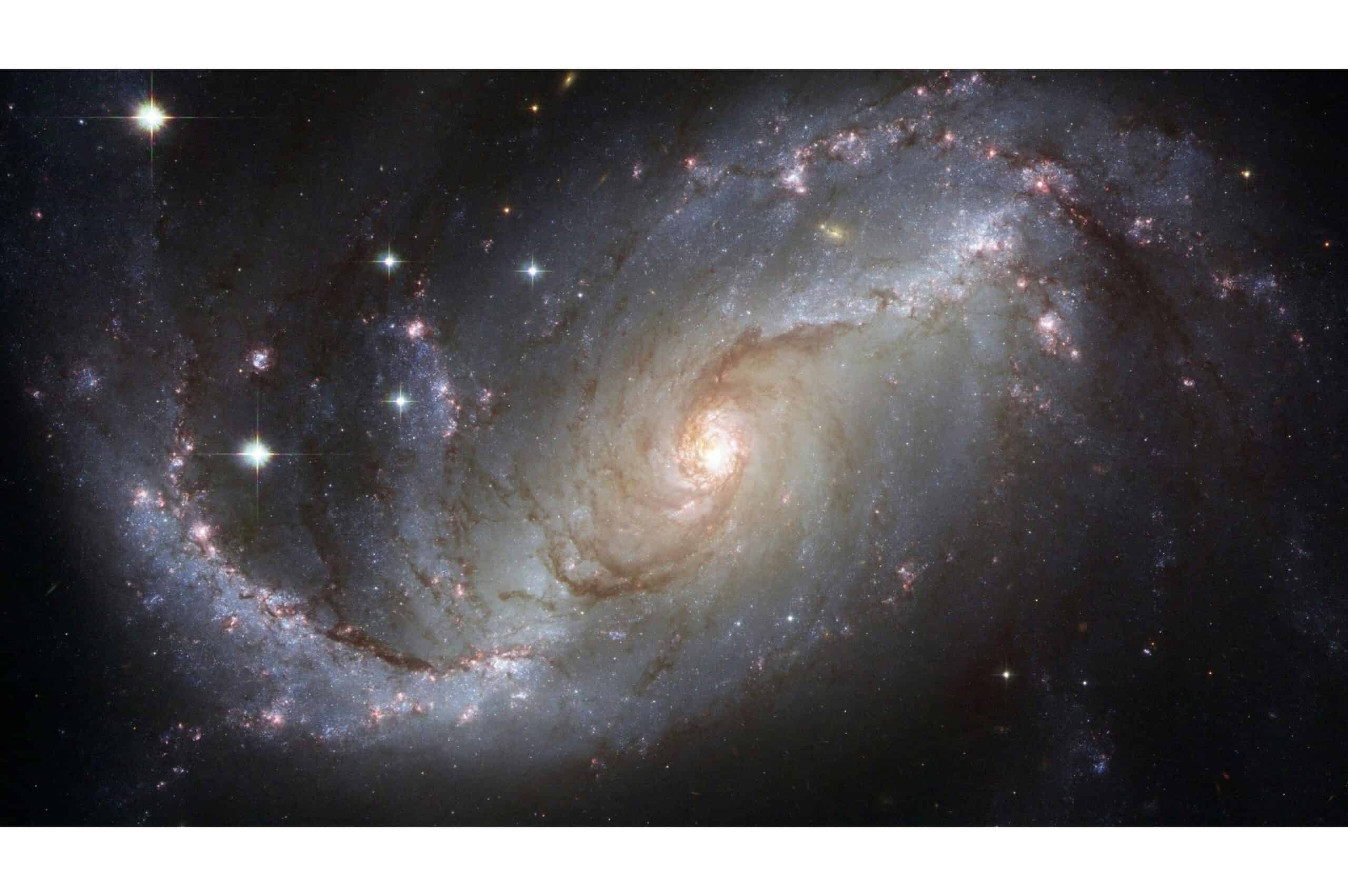 How Space Research Is Influencing Animal Conservation Technology