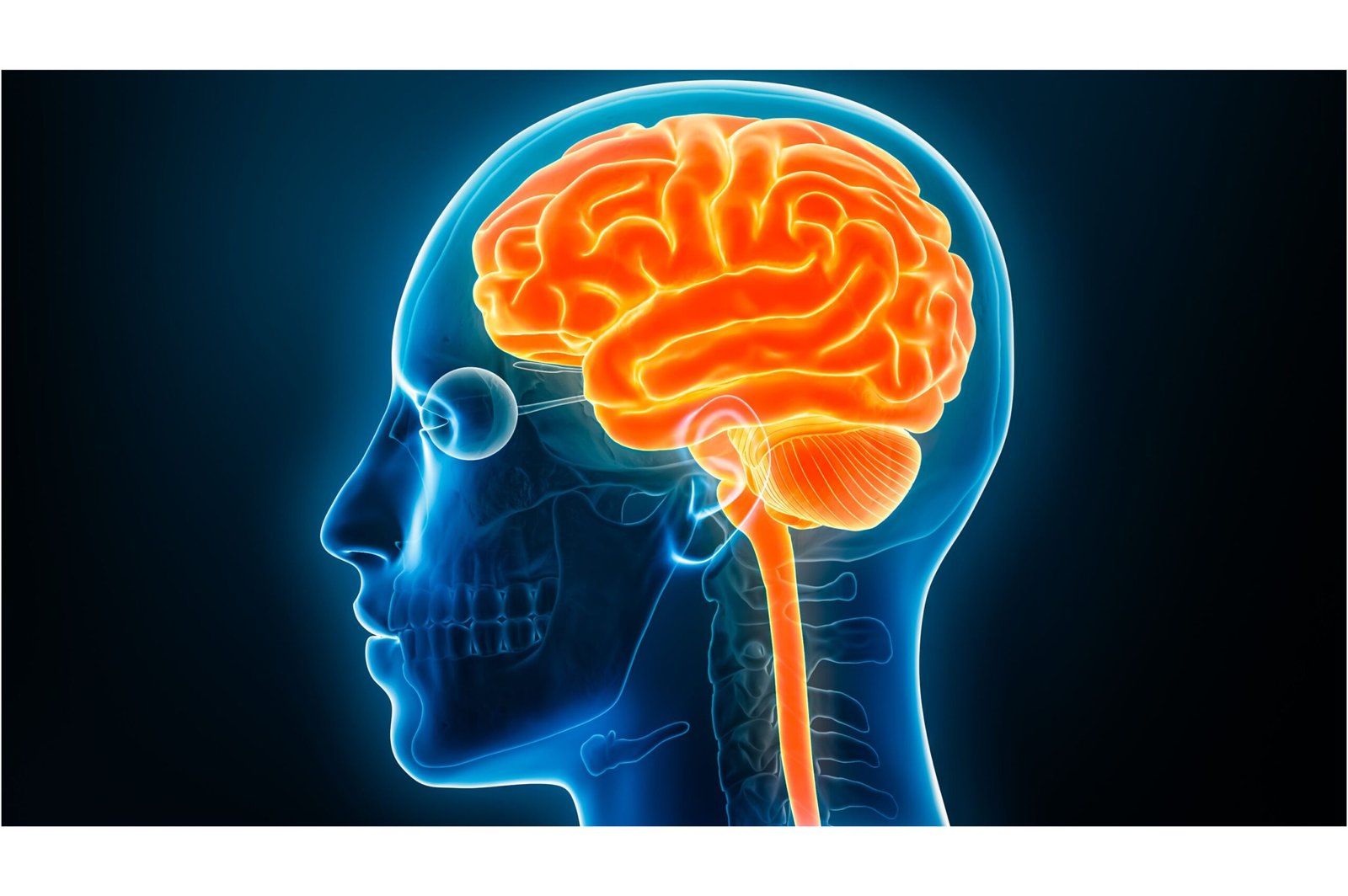 What If Consciousness Is a Universal Force? The Idea That Mind Comes Before Matter