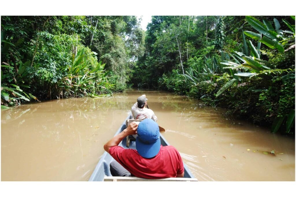 Amazon rainforest river