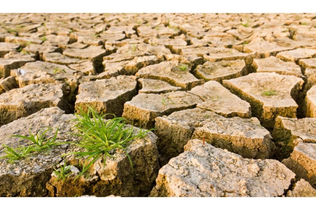 Cracked earth