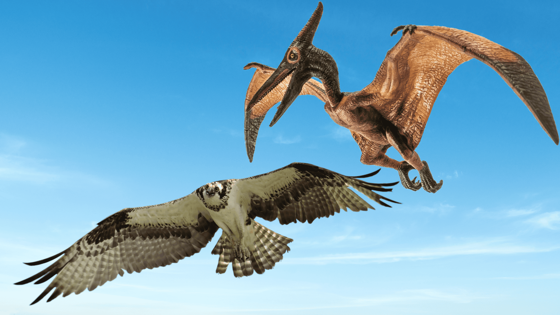 Scientists Discover Evidence of Dinosaur Catastrophe Imprinted in DNA of Modern Birds